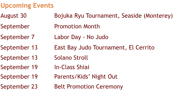 Feel free to contact us at: 510-604-6640 or info@hanabijudo.com.